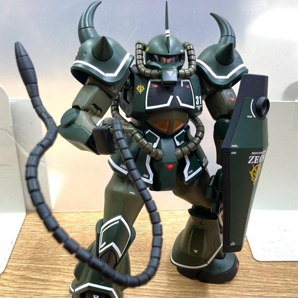 MG グフ(リアルタイプカラー)