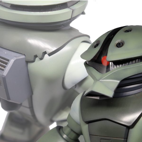 MG 1/100 MSM-04 アッガイ