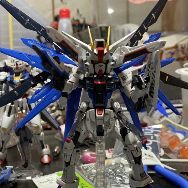 フリーダムガンダム