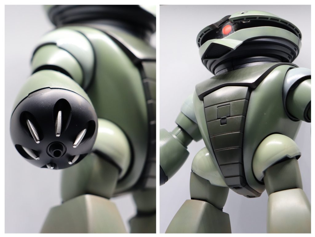 爪はキレイにピカピカで🌟