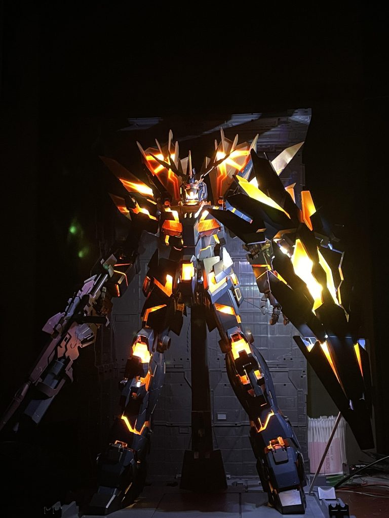 いろいろなモードで撮影するも、デジカメが使いこなせてません(°▽°)デカすぎて後ろの綿棒が(o^^o)