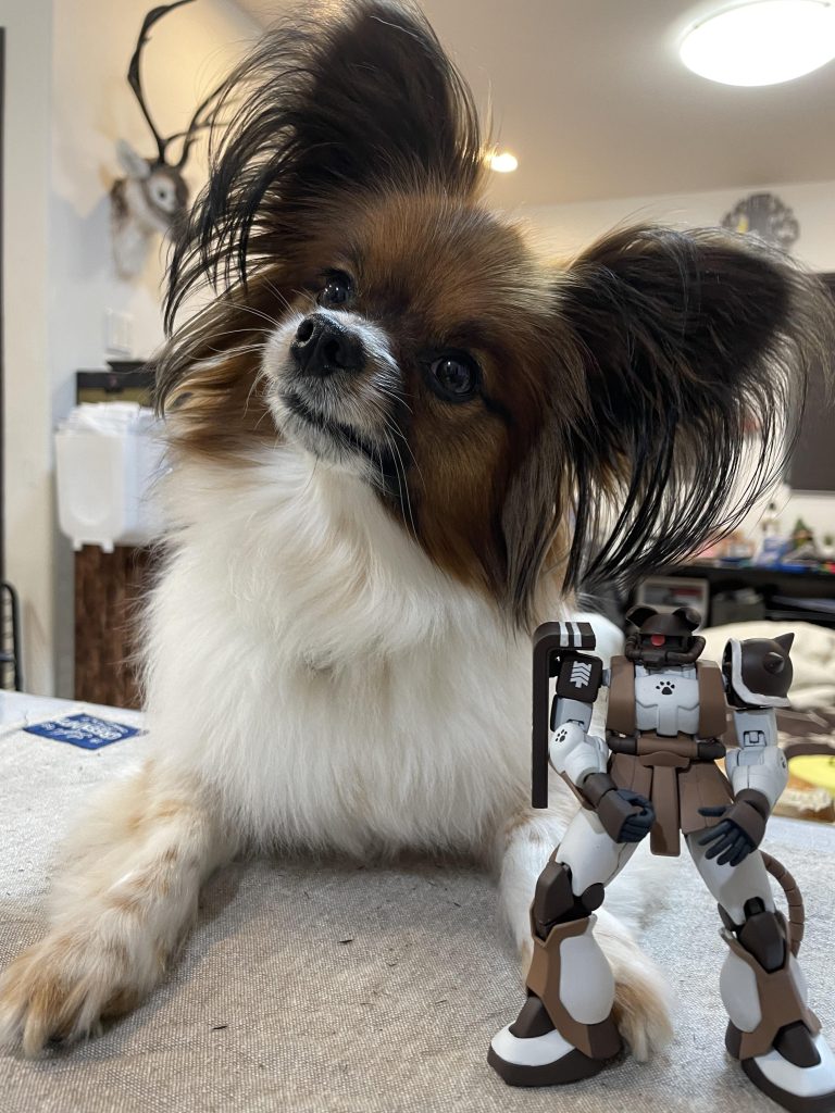 配色のモデルになったウチのわんこクルミと。クルミ専用ザクだよと言われてもわかるはずもなく。美味しくないだろうというのは、塗装の匂いから判断したらしい。