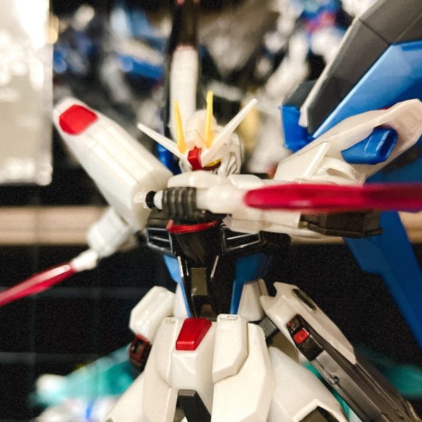 HGフリーダムガンダム