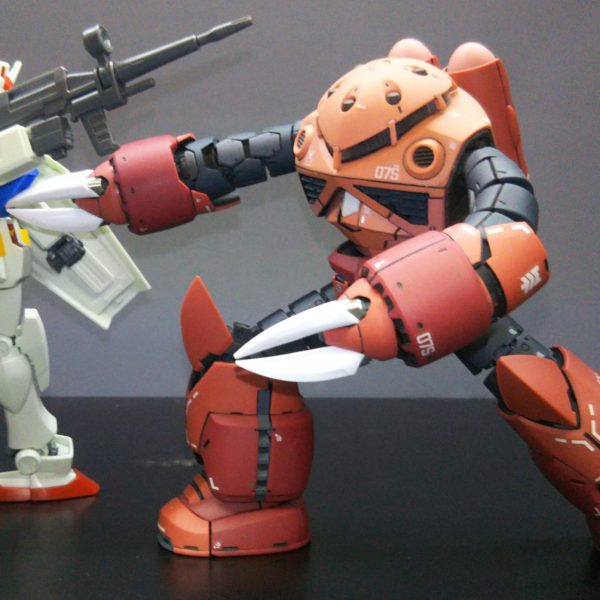 RG シャア専用ズゴック