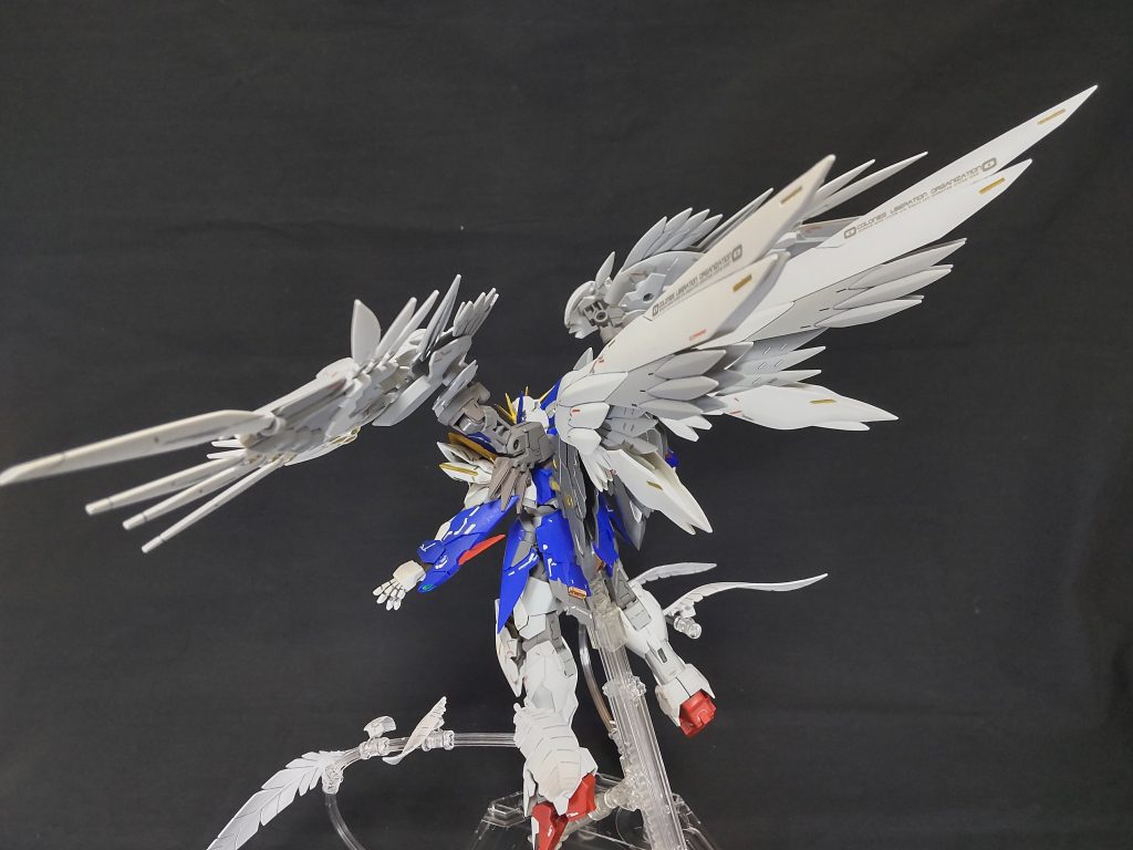 羽根を拡げると凄い幅で、撮影スペースからはみ出しそうです。