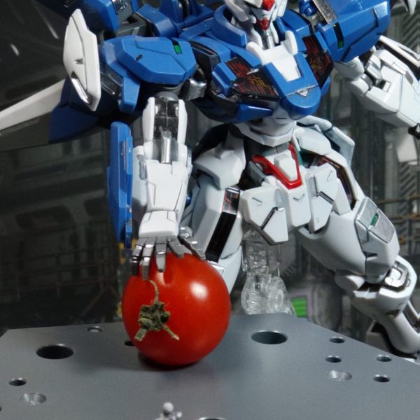 やめなさい！！