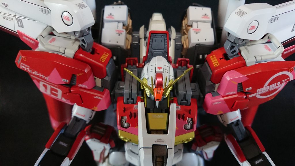 塗装ハゲが怖いのでＧクルーザーに変形は無理です。