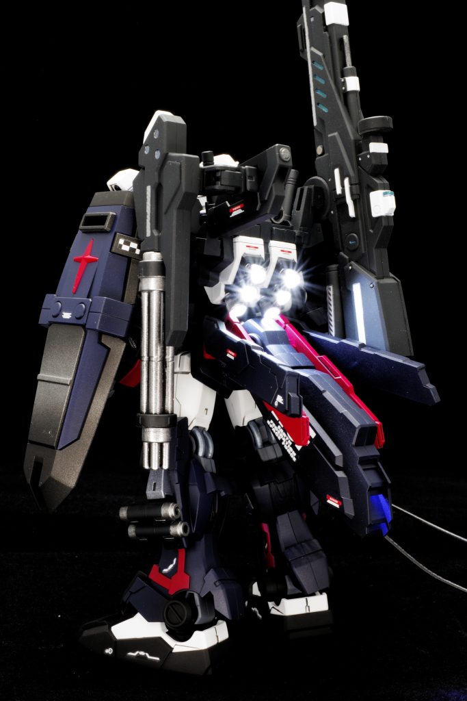 今回の電飾は 頭 背中 尻尾(笑) に入れてます。