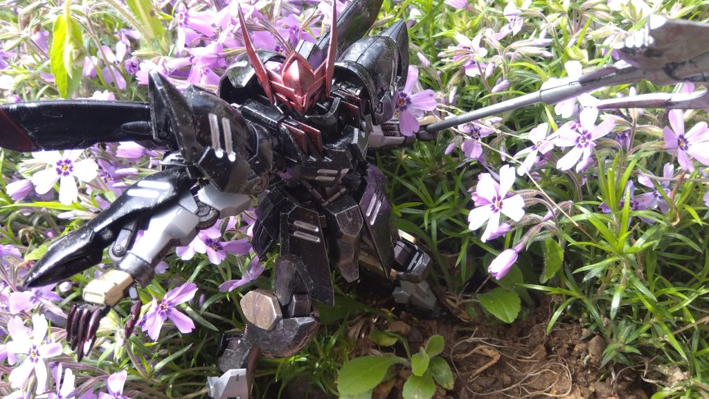 ロケ地はうちの庭です。適当に親父がきれいな花を育てていたのでロケ地に採用。