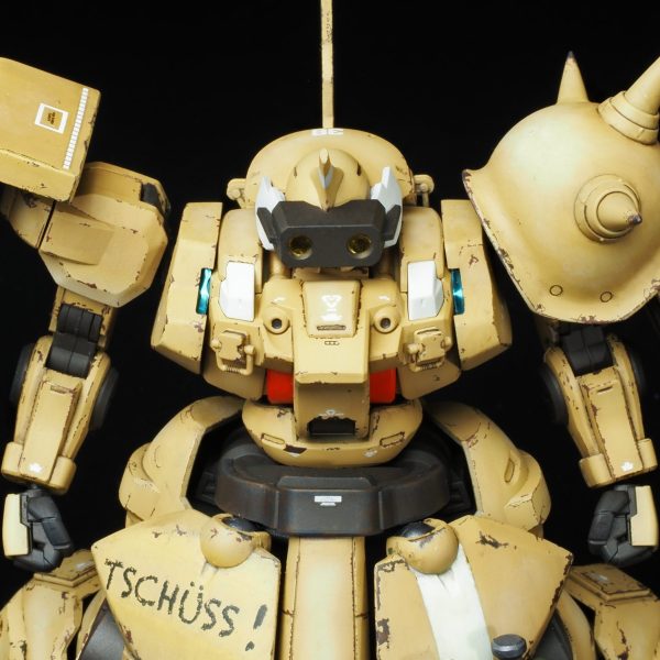 ディランザ改　フリカデレ