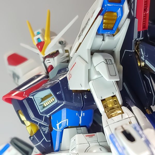 RG ストライクフリーダムガンダム