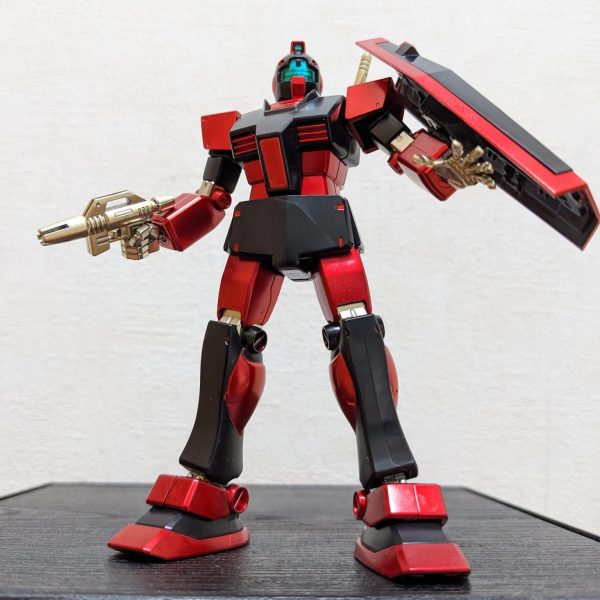 HGUC(エコプラ) ジム