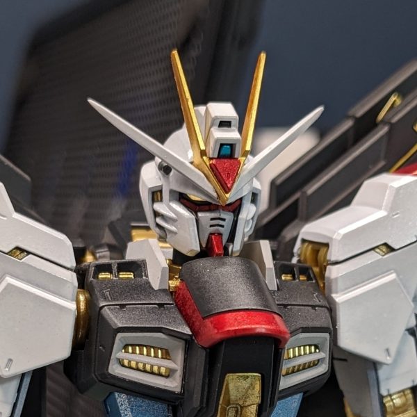 RGストライクフリーダム全塗装一旦完成