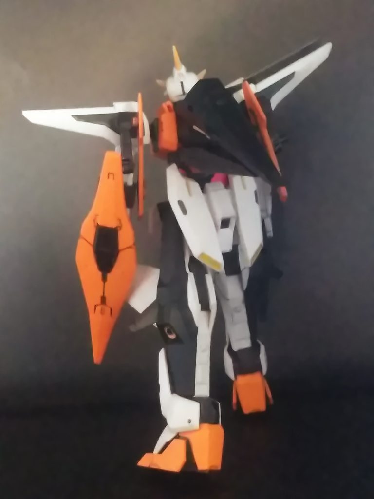 やはり要救助者状態です。