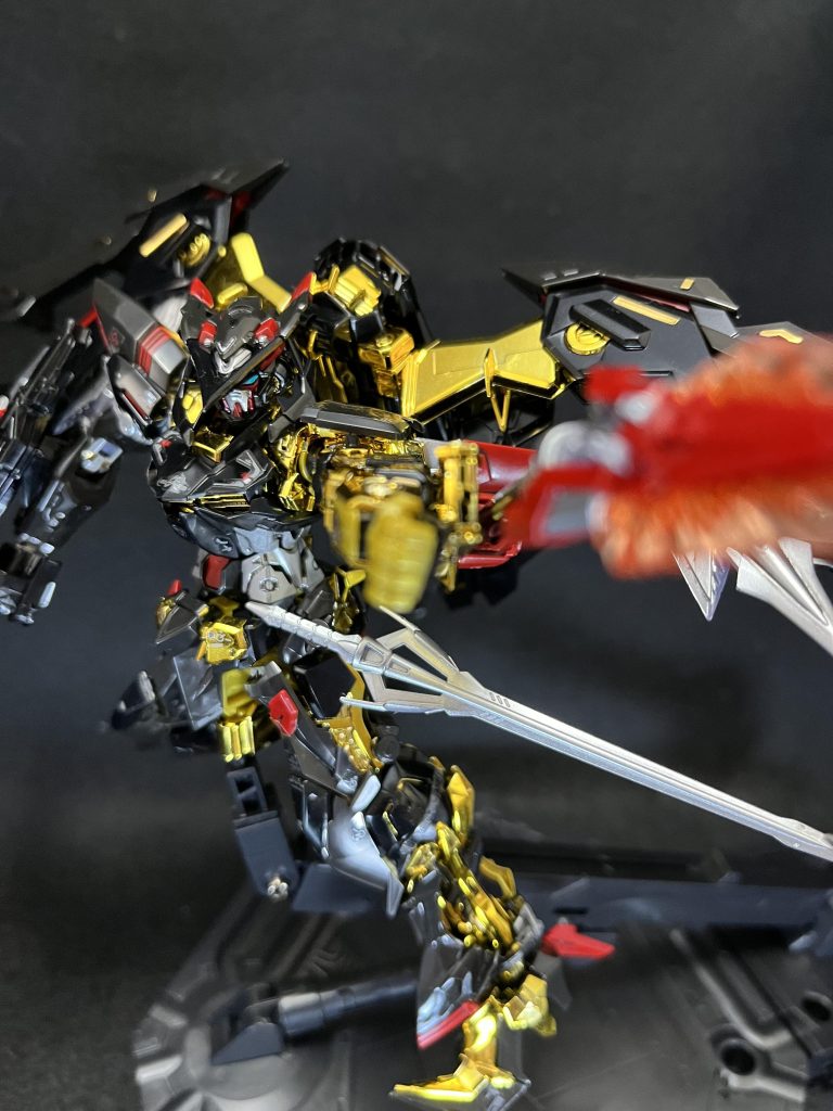 オキツノカガミ。自分は、迫力ある写真と思ったのですが、妻に見せたら手前の武器がぼやけて気になるとのこと。