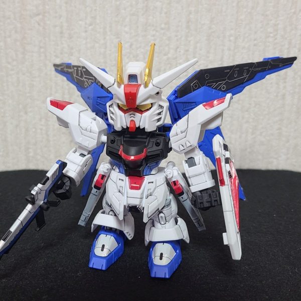 ZGMF-X10A フリーダムガンダム Ver.GCP
