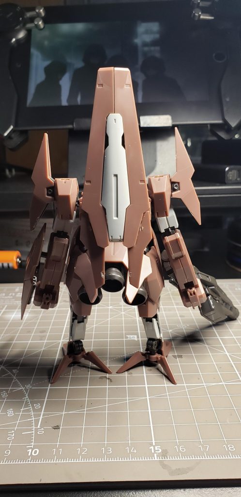 パチルスソーン後ろから