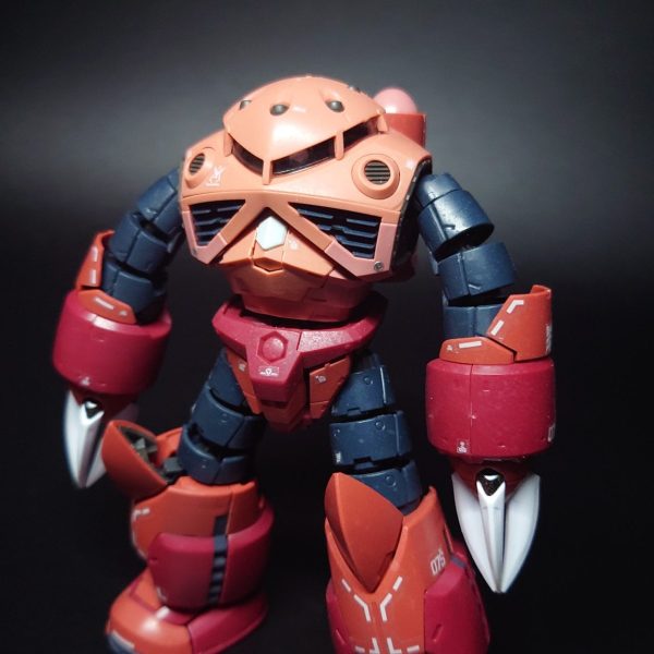 RG シャア専用ズゴック