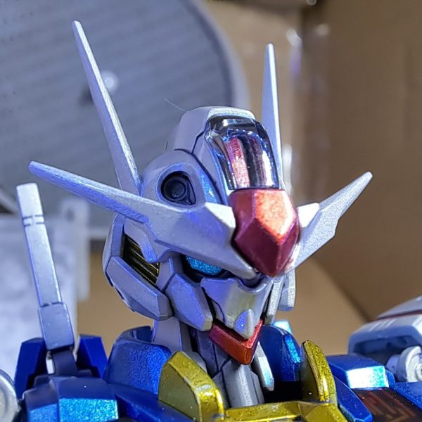 HG　エアリアルとメタグロス