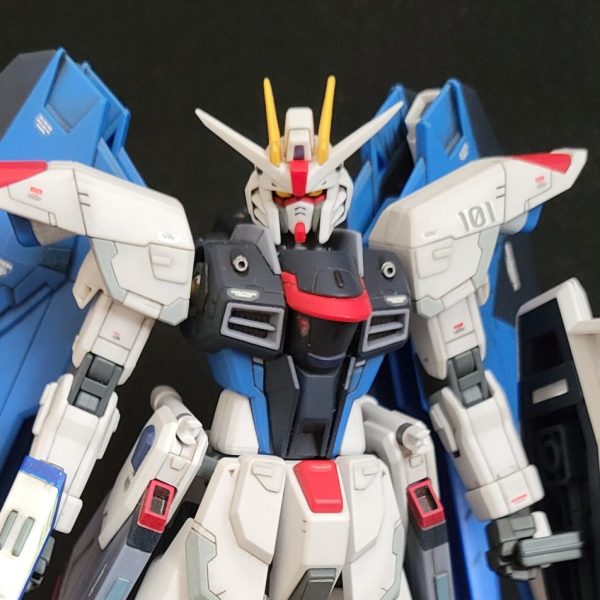 ZGMF-X10A  FREEDOM GUNDAM
