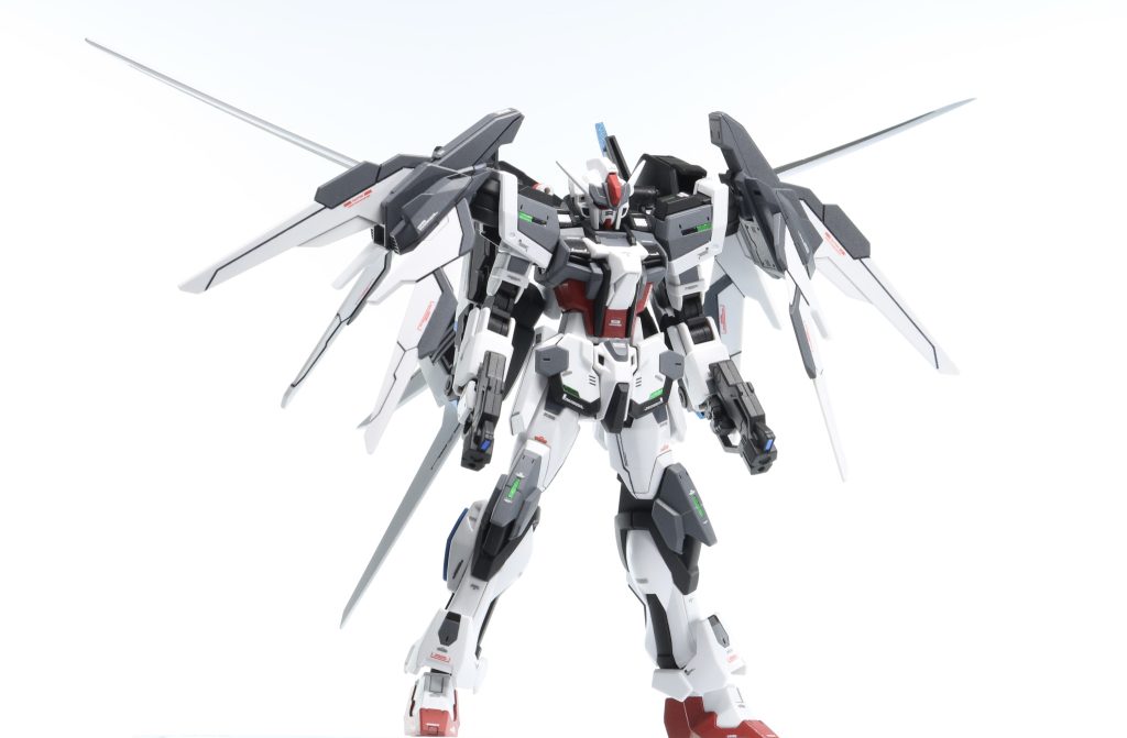 全身のフロントショット