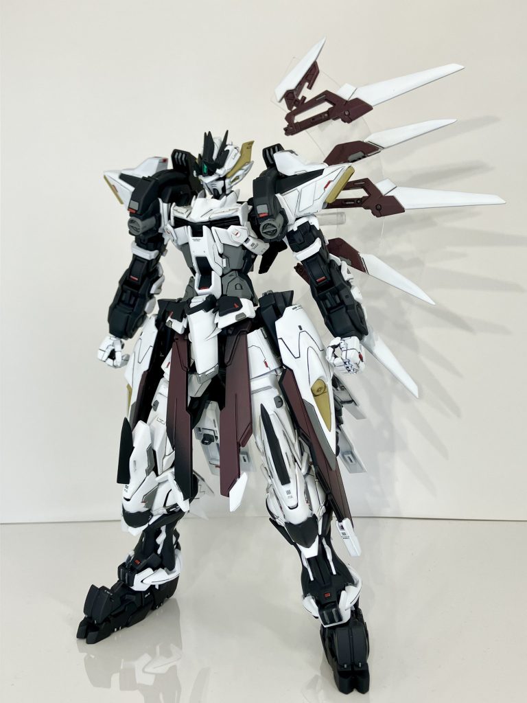 初のMG改造です!色々新しい発見がありました!