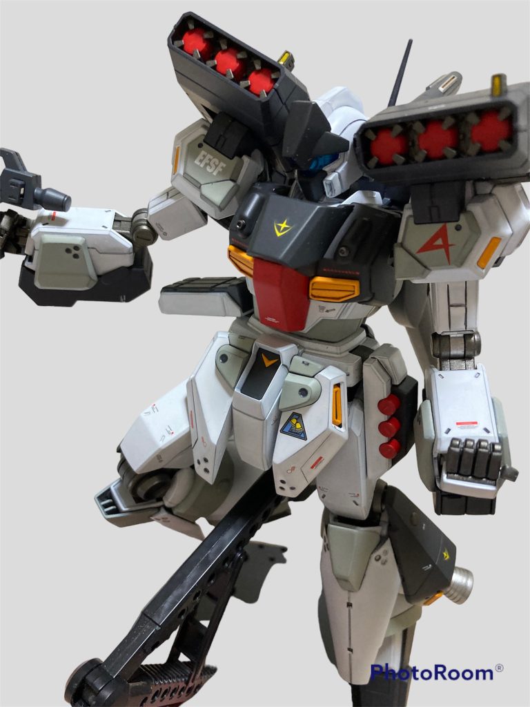 ポージングしました