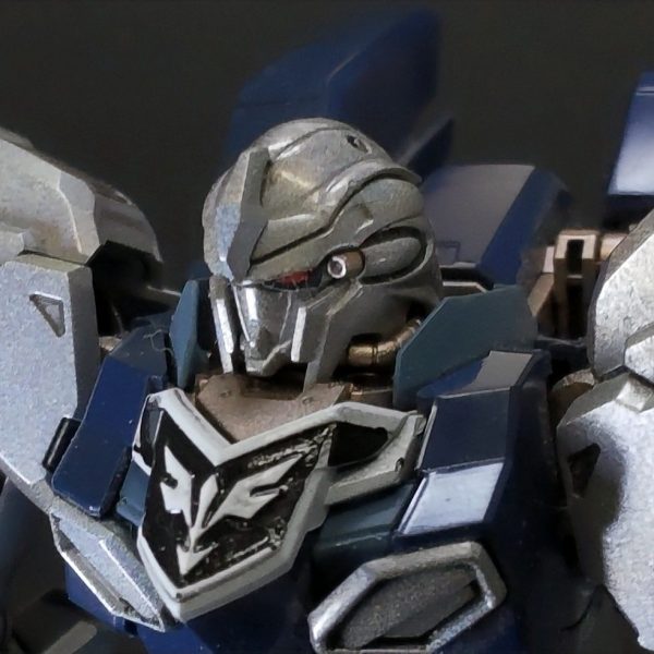 HG シナンジュスタイン