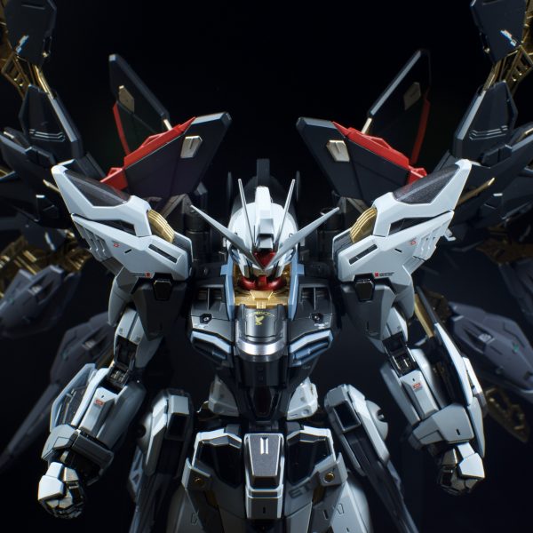 MGEX ストライクフリーダム