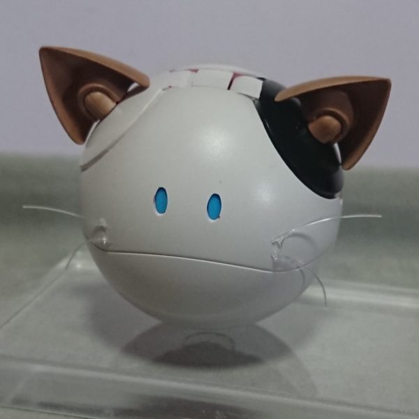 うちのタマ(↑)知りませんか？