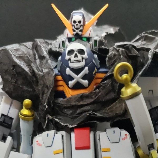 MG　クロスボーンガンダム Ver.Ka