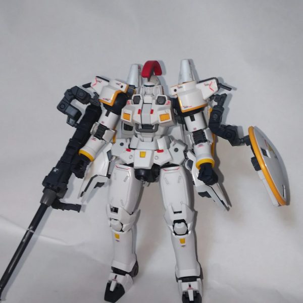 RG トールギス EW