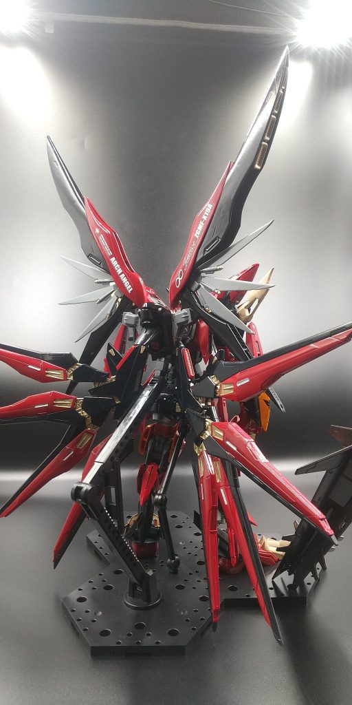 反対の後ろからです。