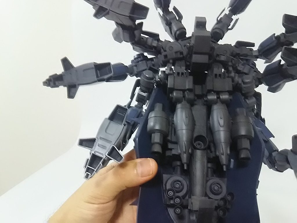 裏側、思った以上にカブトガニ感が・・