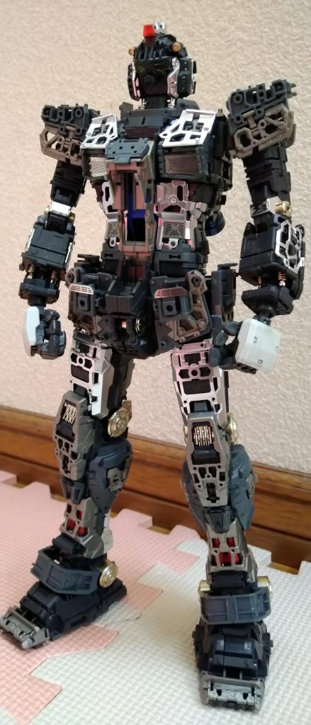 内部フレーム組み立て中の写真。もうこれだけで飾っておきたくなりました。