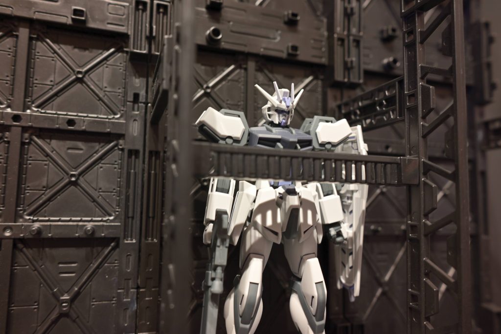 最初で最後の？SEEDキットです？–3枚目/制作者：koshi