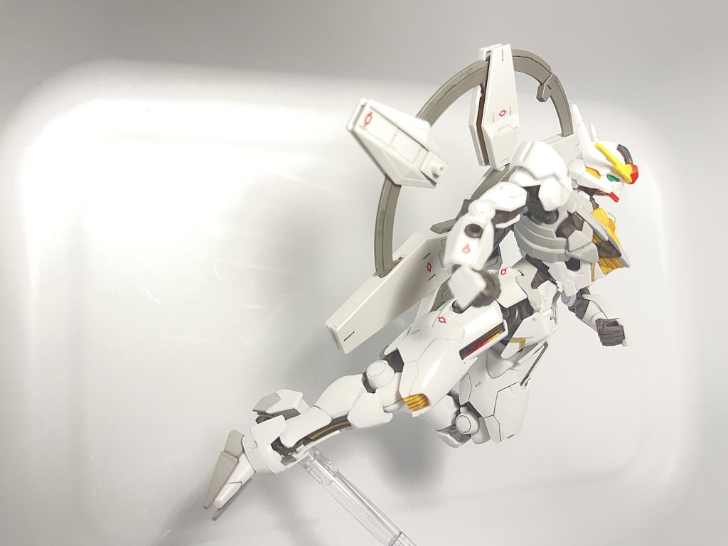 背景が白色のせいか写真がイマイチ…