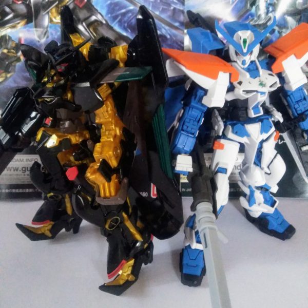 HG ガンダム アストレイ ブルーフレーム セカンド L & ガンダム アストレイ ゴールドフレーム 天 ミナ