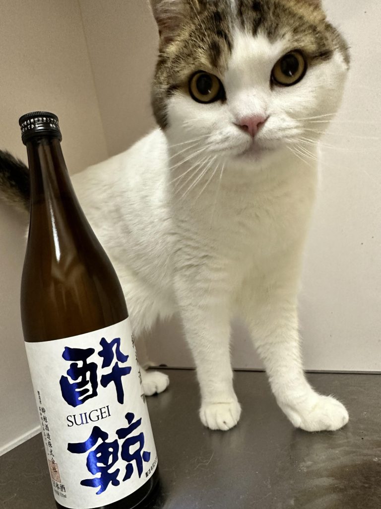 これまでを見返すと、直線基調の1年戦争以降の機体ばかりを作っていたので、この頃の微妙な曲面だらけのMSはものすごく複雑・難解なものでした。また、自分で決めた俺設定(赤・緑チップやセンサー類の区別、トリガーに指を掛けない、人差し指は赤、etc.etc)をすべて白紙にして制作。そういった成熟した運用設定は、まだドムが開発された頃は確立してなかった、という俺設定にしました。面倒な奴だなワシ。そのためディテールは入れてあるけどモノトーンで地味~な雰囲気となってしまいましたが、まぁヨシとします。せっかく手に入れたガンプラですもの。妄想をふんだんに盛り込んで、その時やれる精一杯をやって。調合した塗料で塗装してオンリーワンを作る喜びはいつまでも持っていたいですよね。ここまでご覧いただきありがとうございました。しかし、何故だか前ほどモチベが上がらないねぇ。