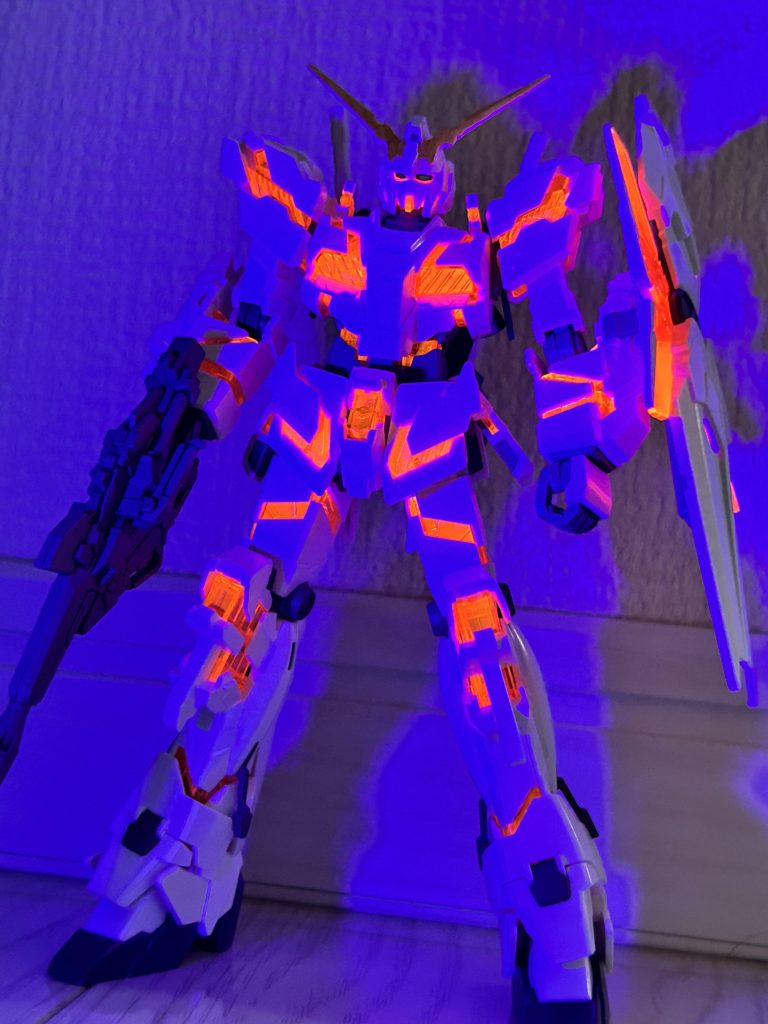 人生初ビコーンシステム(笑)