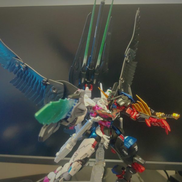 ルブリス(DG細胞)