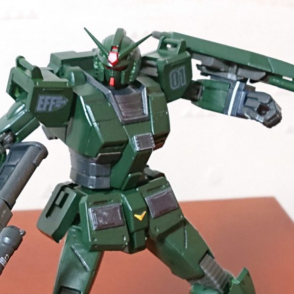 HG  局地型ガンダム(密林仕様)