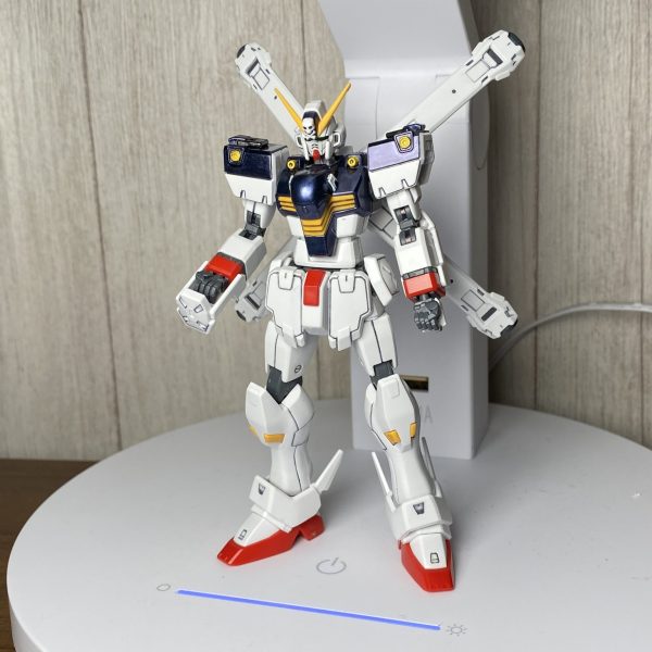 クロスボーンガンダム素組墨入れちょい塗装