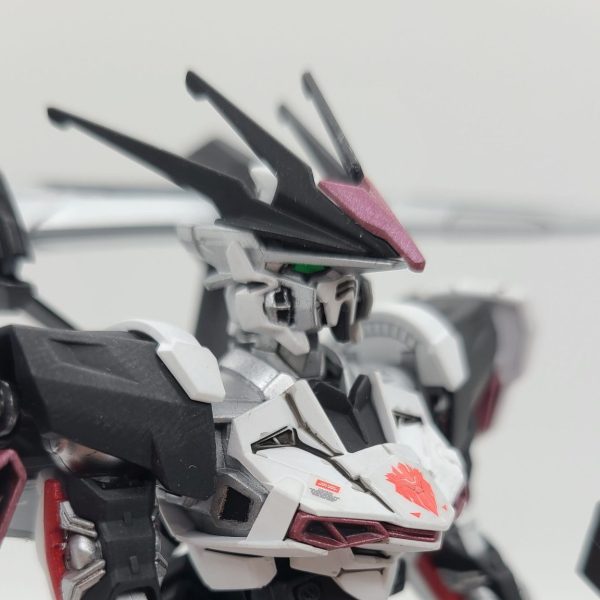 HG 1/144 ロードアストレイΩ