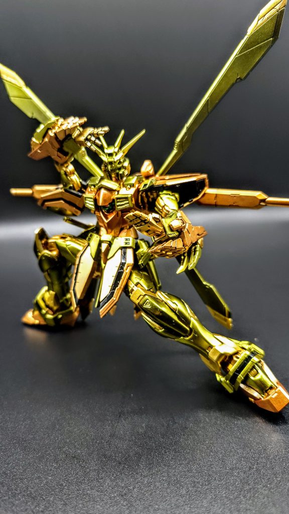 功夫ポーズもバシッと決まります。