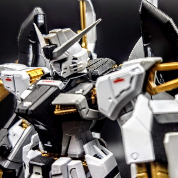 RG デスティニーガンダム