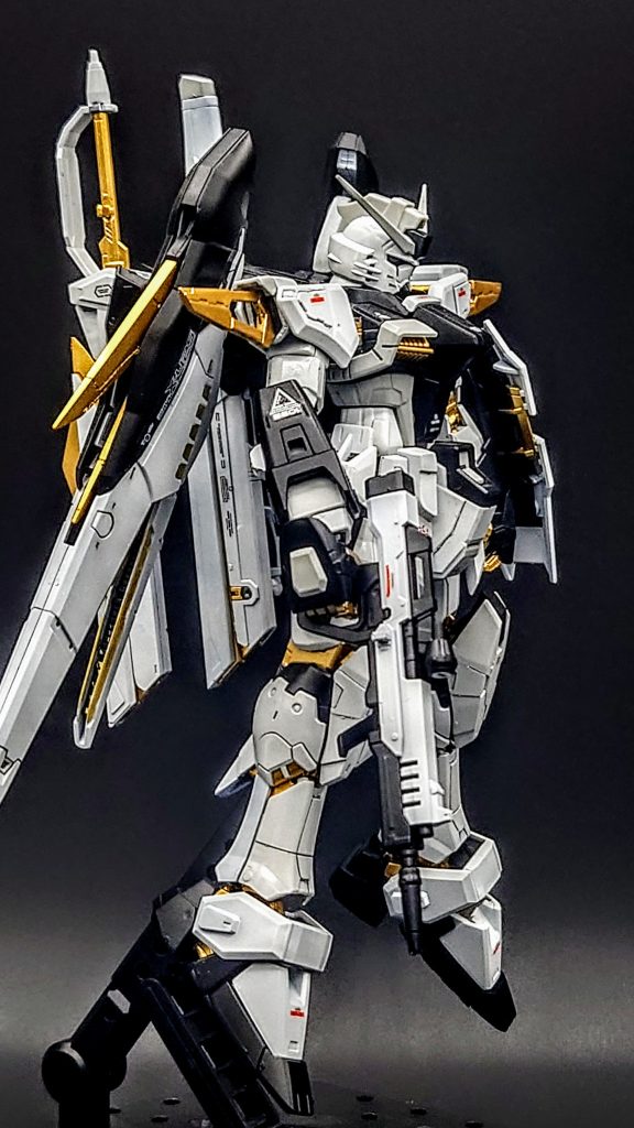 デスティニーはストフリと比べるとちょっとって思ってましたが、これはこれでかっこいい機体ですね🤣