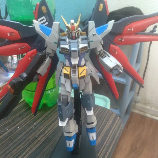 My custom ZGMF-X201 Solaris Gundam (dragoon wing version). It is another form for the Solaris Gundam. Since it also has a form of the striker pack system, it is able to swap out backpacks for different missions （1枚目）