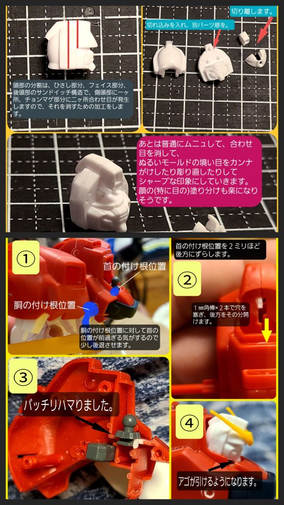 頭部から腰にかけて。