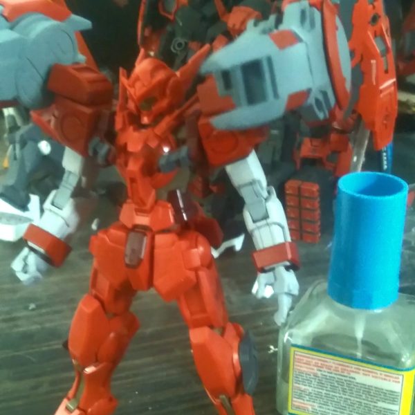 HG Astrea Type X-Artemis custom (?)